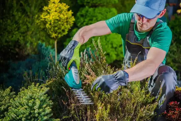landscaping services Port Dickinson